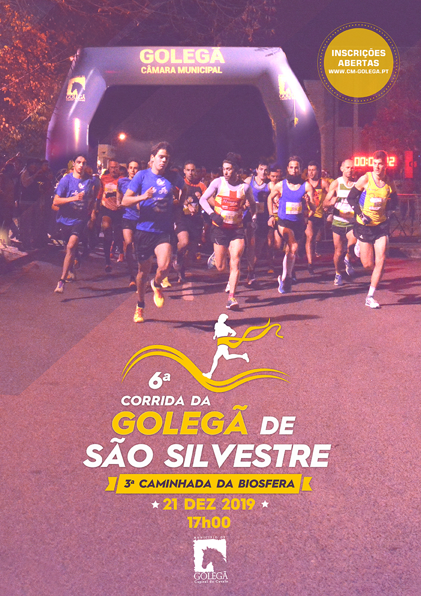SSilv_2019_2